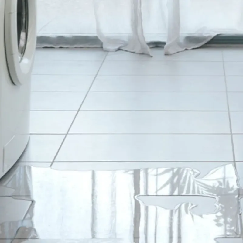 Appliance Leak Cleanup in Fremont, IN