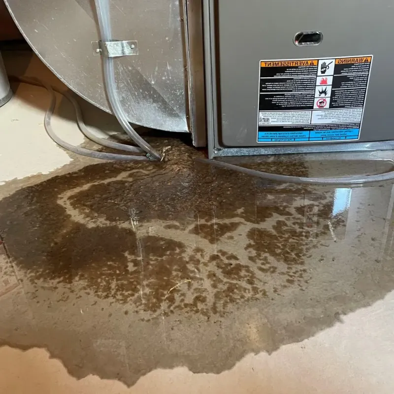 Pipe Burst and Leak Restoration in Fremont, IN