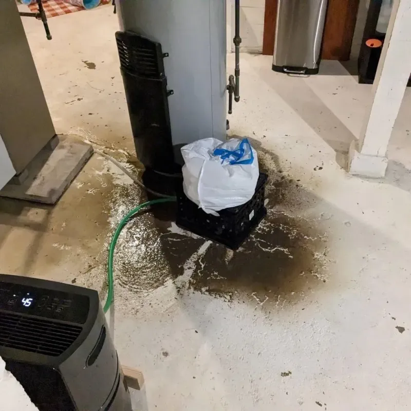 Sewage Backup Cleanup Service in Fremont, IN
